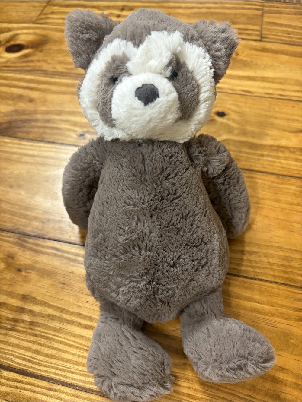 Jellycat Bashful Raccoon, Retired Plush